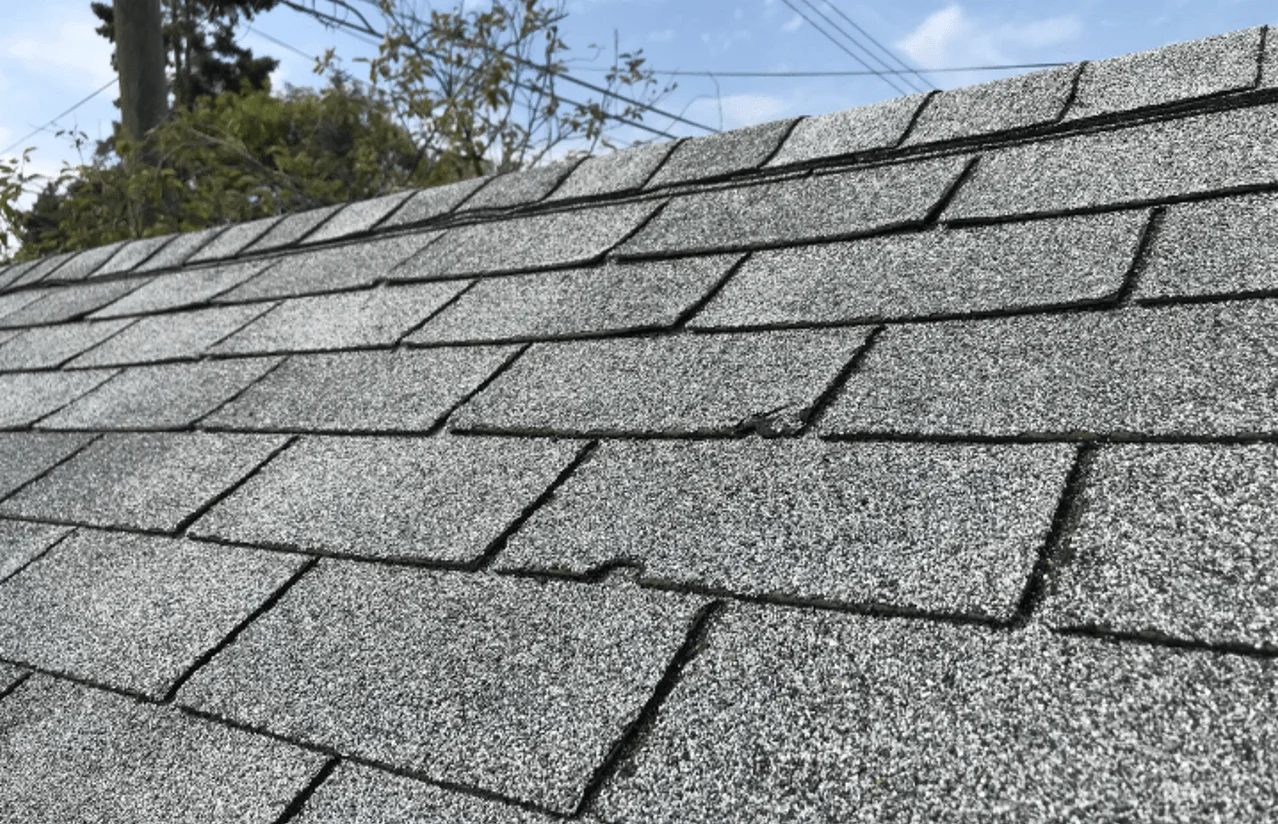 Screenshot 2026-04-04 021431